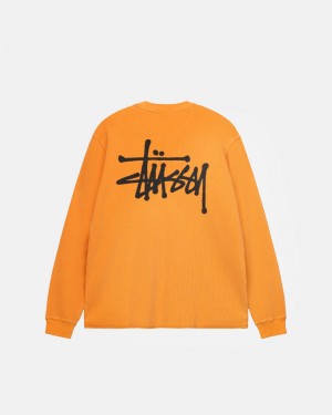 Long Sleeve Knit Stüssy Basic Stock Ls Thermal Abricot | CY95-J0-ZV