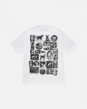 Short Sleeve T-Shirt Stüssy Dog Collage Tee Blanche | JD72-D6-OZ