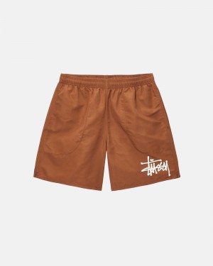 Swim Bottom Stüssy Big Basic D'eau Corta Cafe | CV26-X9-NF