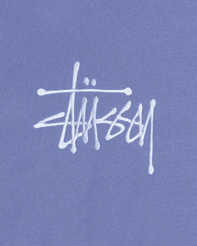 Long Sleeve Sweatshirt Stüssy Basic Applique Hoodie Storm | UQ70-U3-MS