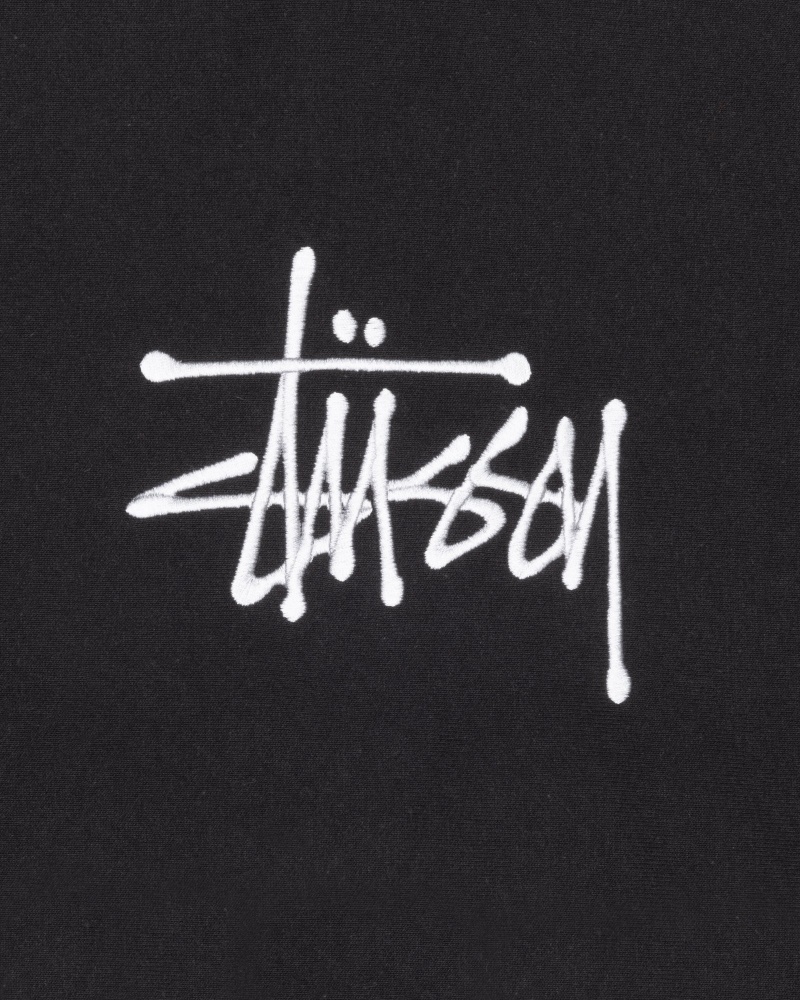 Long Sleeve Sweatshirt Stüssy Basic Applique Hoodie Noir | DN15-K6-TP