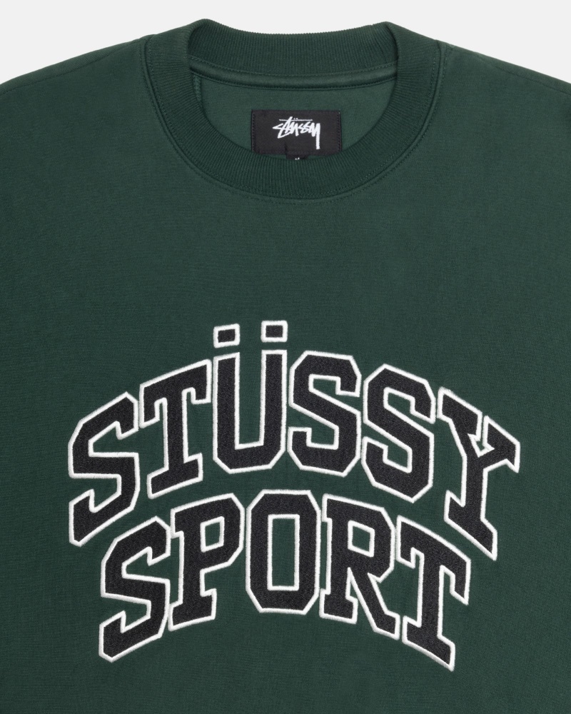 Long Sleeve Sweatshirt Stüssy Sport Relaxed Oversized Crew Pine | BL53-Q8-HP