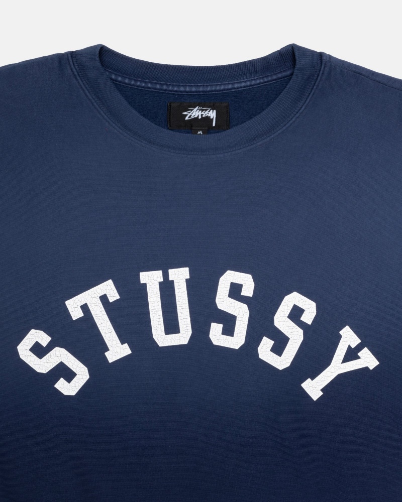 Long Sleeve Sweatshirt Stüssy Sun Faded Oversized Crew Bleu Marine | IR49-U3-FF