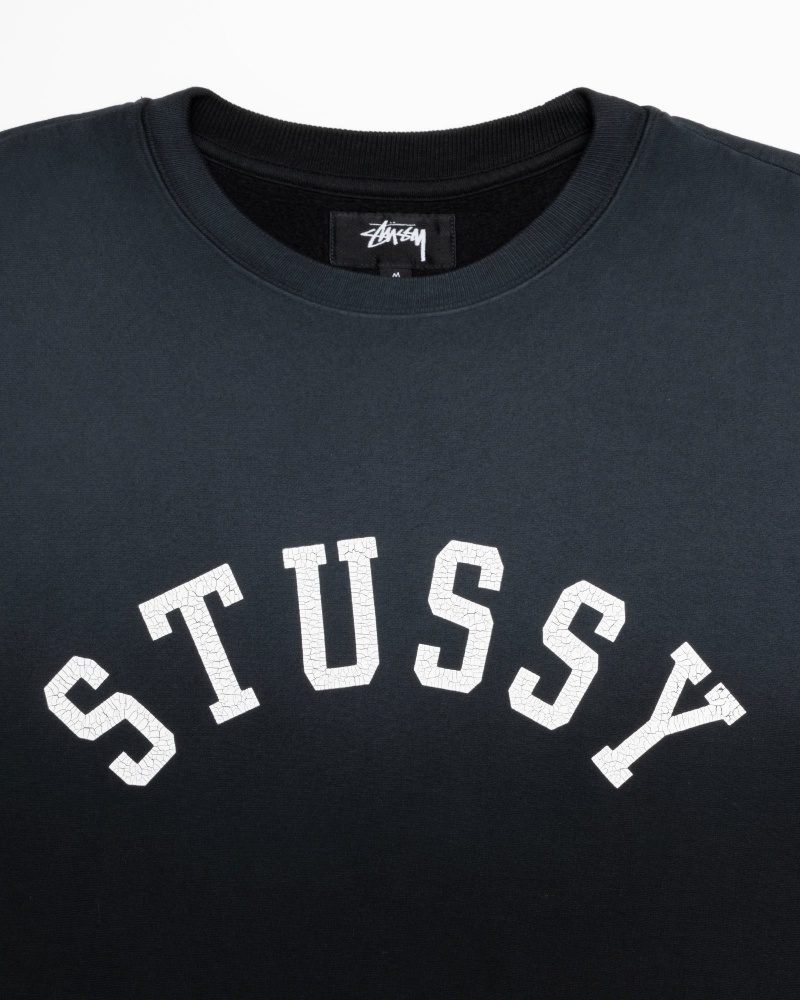 Long Sleeve Sweatshirt Stüssy Sun Faded Oversized Crew Noir | YW35-P2-XV