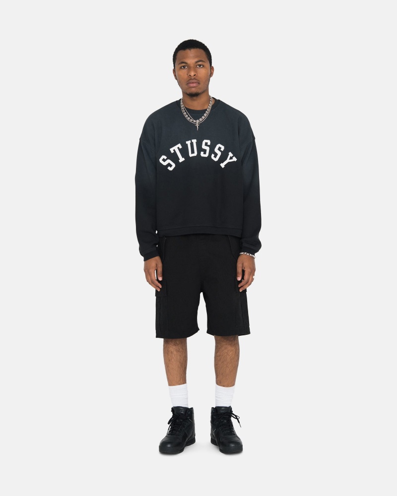 Long Sleeve Sweatshirt Stüssy Sun Faded Oversized Crew Noir | YW35-P2-XV