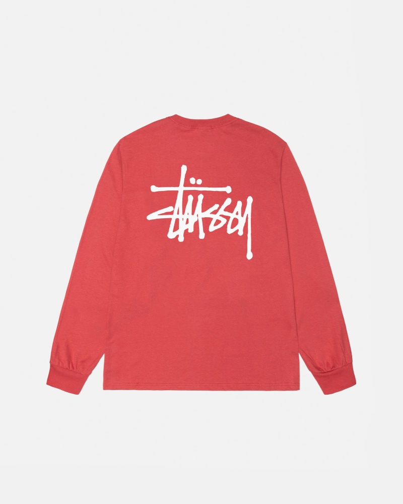 Long Sleeve T-Shirt Stüssy Basic Stussy LS Tee Pepper | WH44-B1-DG