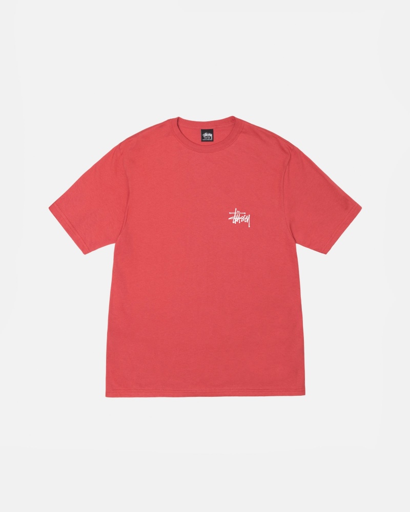 Short Sleeve T-Shirt Stüssy Basic Stussy Tee Pepper | QS75-E5-XA