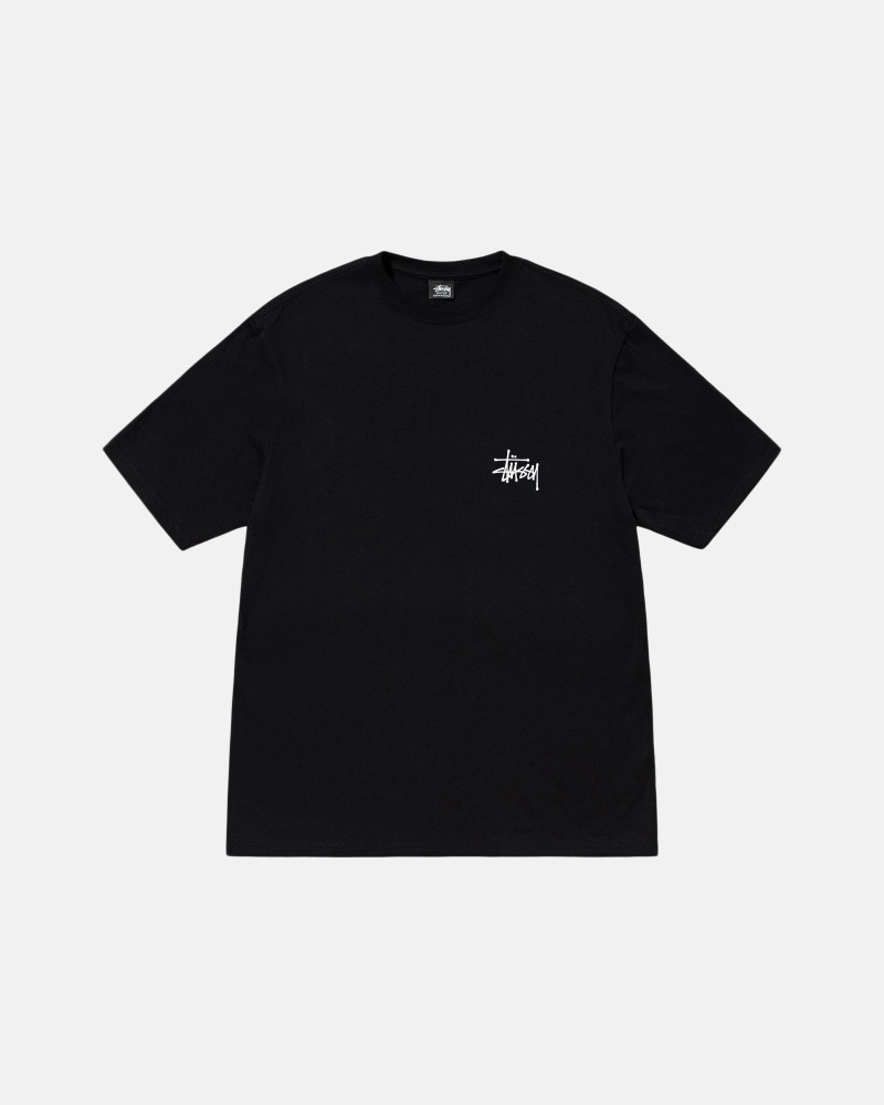 Short Sleeve T-Shirt Stüssy Basic Stussy Tee Noir | US75-W8-HS