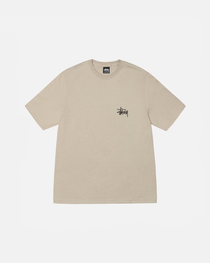 Short Sleeve T-Shirt Stüssy Basic Stussy Tee Kaki | SG33-O1-RM