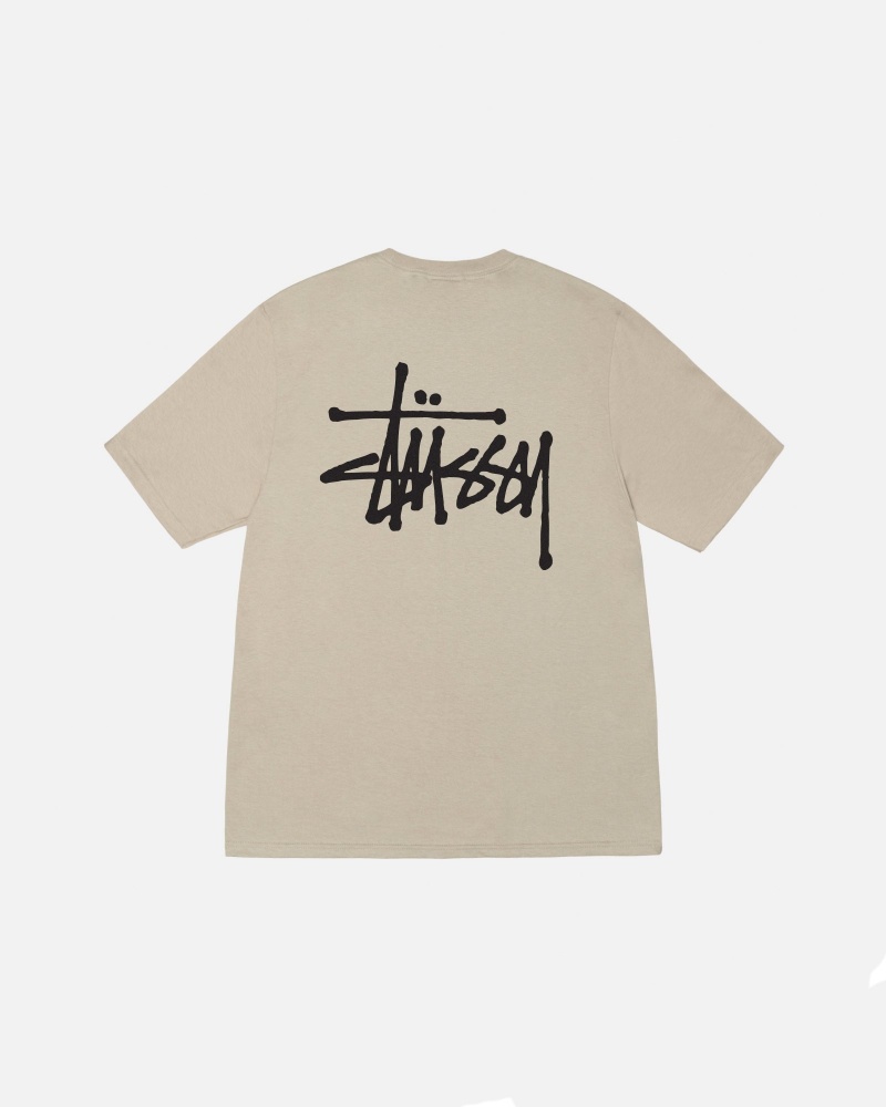 Short Sleeve T-Shirt Stüssy Basic Stussy Tee Kaki | SG33-O1-RM