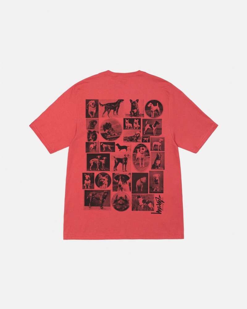 Short Sleeve T-Shirt Stüssy Dog Collage Tee Pepper | FH05-N6-RB