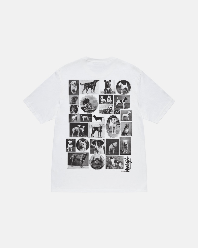 Short Sleeve T-Shirt Stüssy Dog Collage Tee Blanche | JD72-D6-OZ