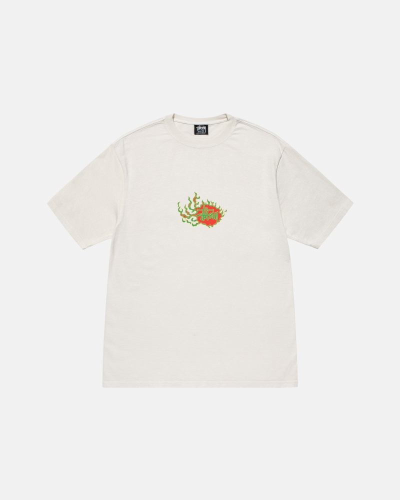 Short Sleeve T-Shirt Stüssy Mosaic Dragon Tee Pigment Dyed Natural | PZ43-C0-LI