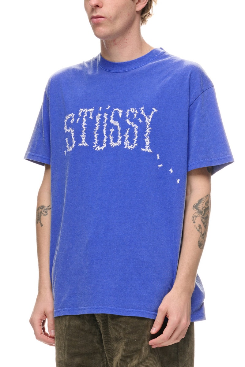 Tees Stüssy Ants Ss Tee Pigment Ultramarine | PP54-Y4-WD